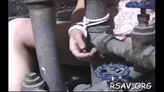 Товарищ-раб по доминантному аллелю женского пола