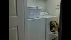 Femeie plăcută cu sâni mari - camlass.com