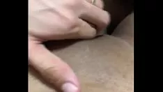 Par adquirindo quente no rápido gatinho-gato.