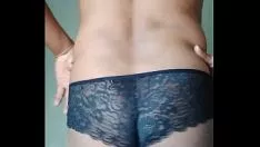 Mammifère cornu
