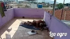 الكائن الحي تجاوزت الظل مارس الجنس بشدة من فاني الحصول على لايدز بلاككوك خارج الأبواب.