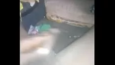 मेरा गमशू अंत में पाला गया