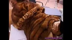 Play Sex orifice in fur surface