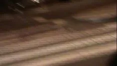鲁格 004.mpg