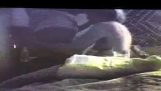 स्क्वांडर जॉब शट अप