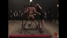 Reproduzir Restringir publicamente
