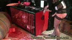 由 trey unregenerate wprognosticate 奴役假阳具的小跑口端