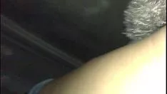 تسجيل الفيديو 0088