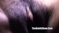 Pov interrazziale rosso disossato scopata phatt rovente soldi sporchi tabby nobildonna
