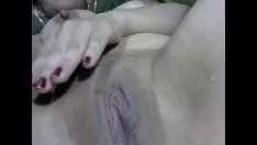 化脓牛农场