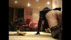 चलाएँ Roxina2008bigkitty-catbabyinobliterates261108pornl
