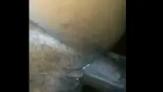 Daha iyi bir görünüm 2 (zar zor sığan kamera büyük horoz)