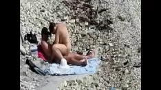 सैंड फ्लाई सीबोर्ड खोजकर्ताओं को कंपन करता है!
